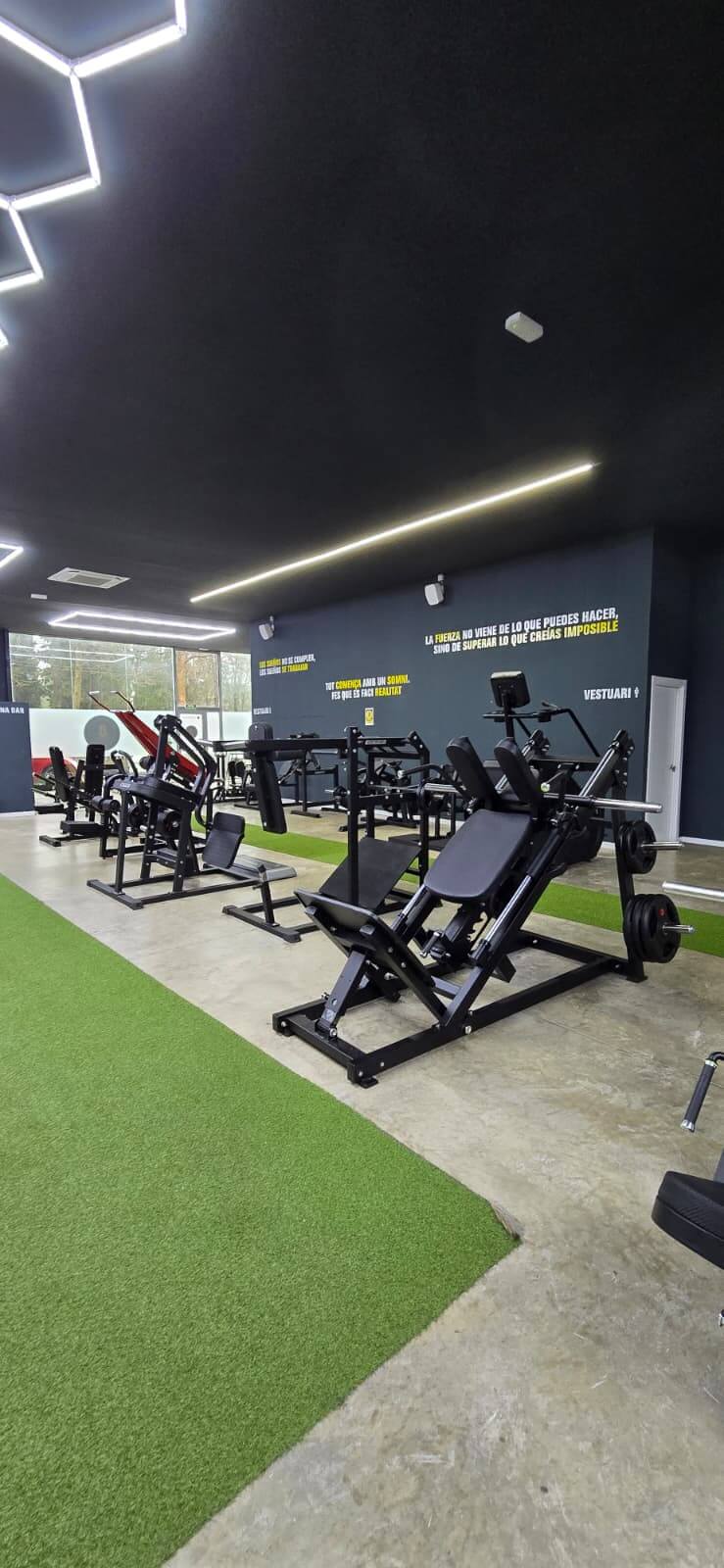 Zona de entrenamiento